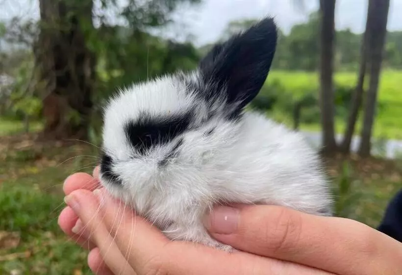 ペンション Tweed Hinterland Eco Cabin