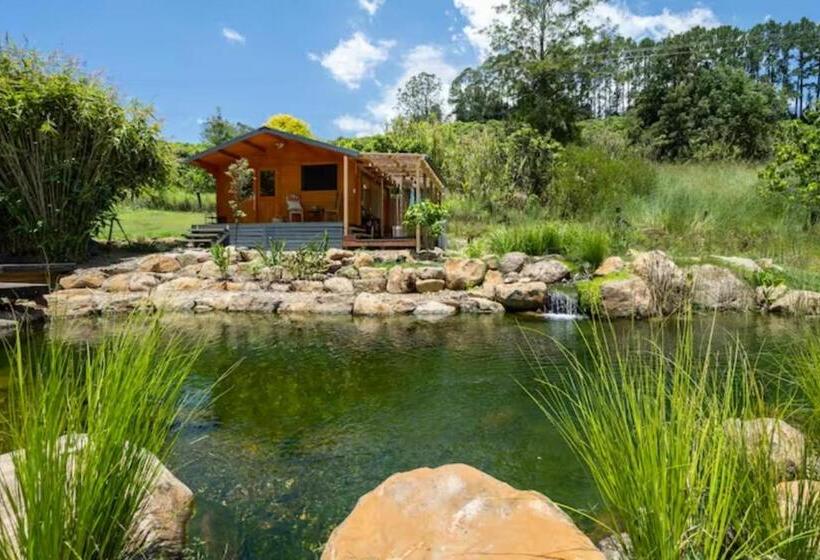 ペンション Tweed Hinterland Eco Cabin