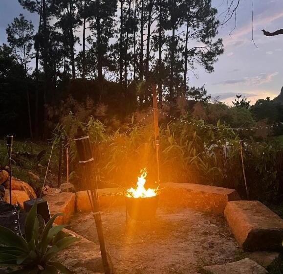 ペンション Tweed Hinterland Eco Cabin