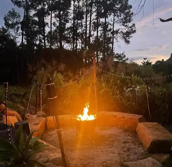 ペンション Tweed Hinterland Eco Cabin