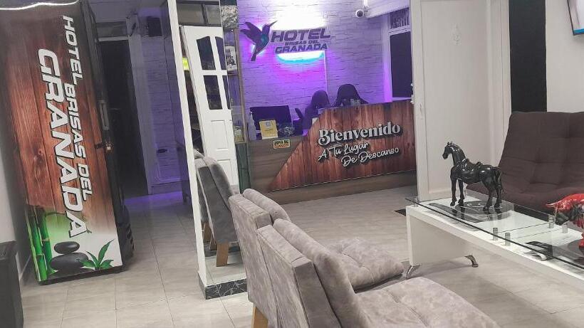 Hotel Brisas Del Granada