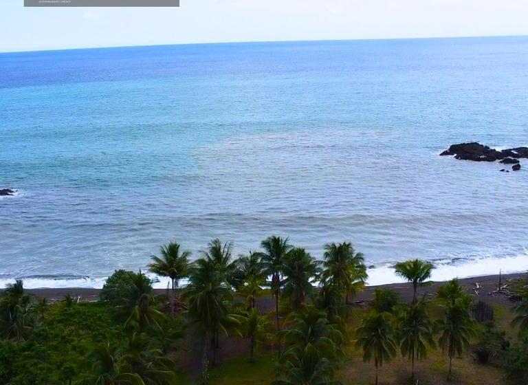 Hotel Excellents Punta Roca