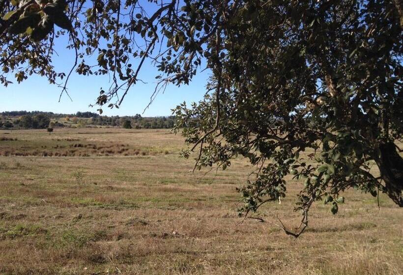 호텔 Quinta Da Mouracha