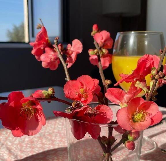 호텔 Quinta Da Mouracha