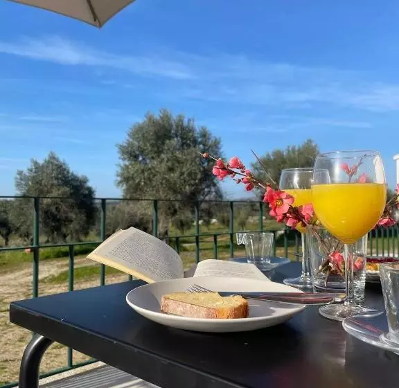 ホテル Quinta Da Mouracha