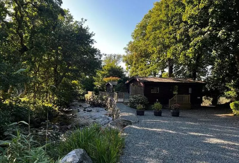 Old Mill Retreat, By River/sea/country Nr Barmouth Dogs