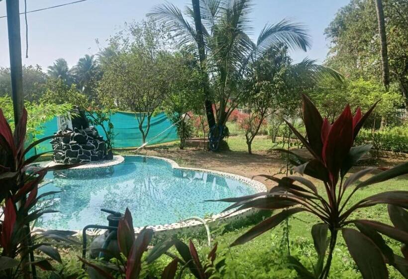 פנסיון David Villa