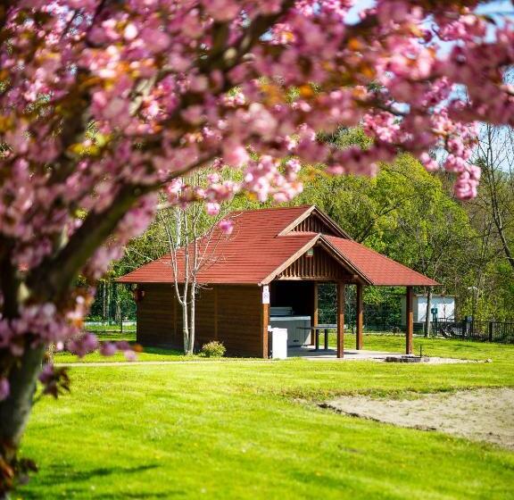 Aranyszarvas Panzió, étterem és Grillterasz