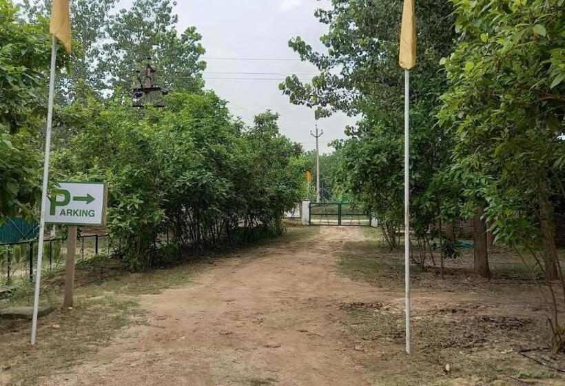 בית מלון כפרי Solis Wellness Retreat