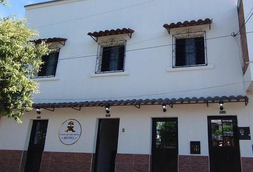 هتل Tunjo De Oro Neiva
