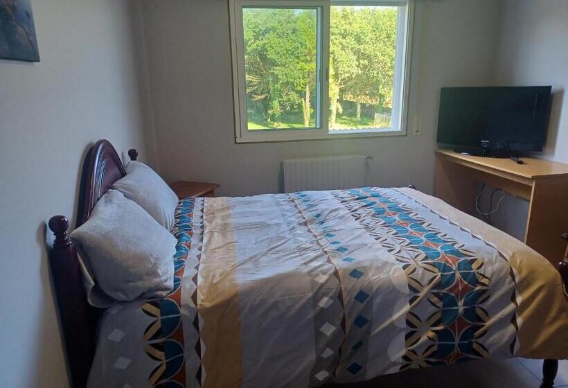 ペンション Alojamientos O Camiño