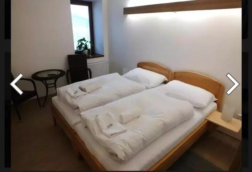 ペンション Penzion U Koruny