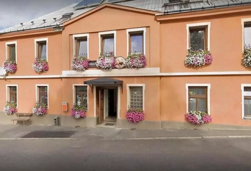 ペンション Penzion U Koruny