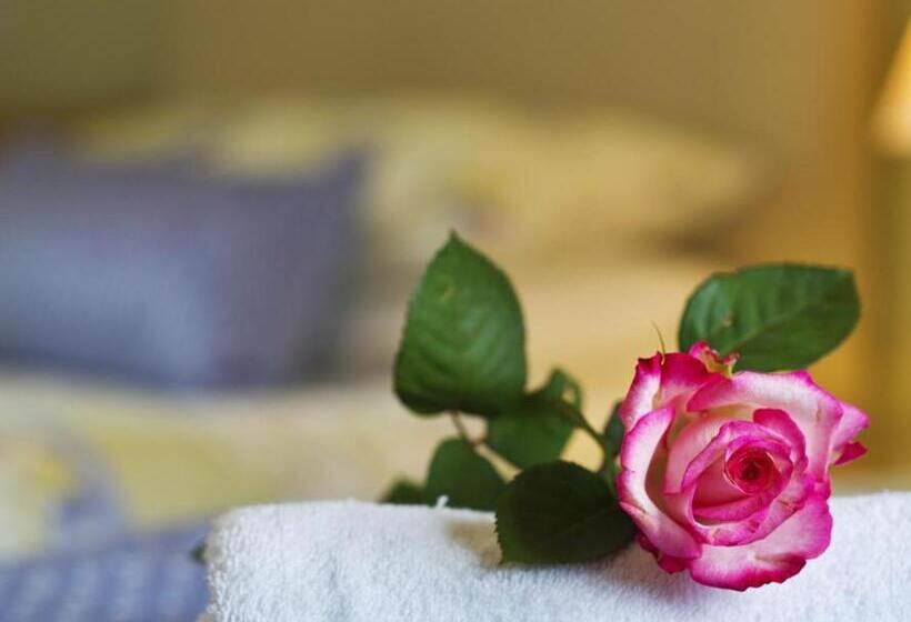 مبيت وإفطار Copper Meadow