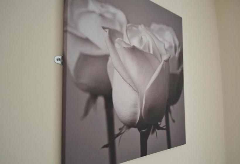 住宿加早餐  Sea Breeze Guest House