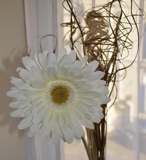 住宿加早餐  Sea Breeze Guest House