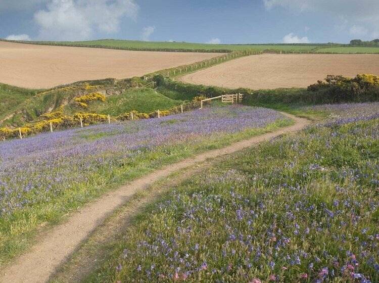 Bed and Breakfast Treweens