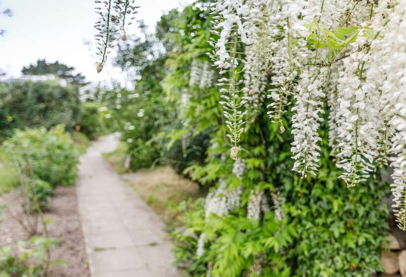 Bed and Breakfast Treweens