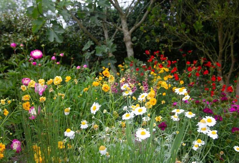 Bed and Breakfast Treweens