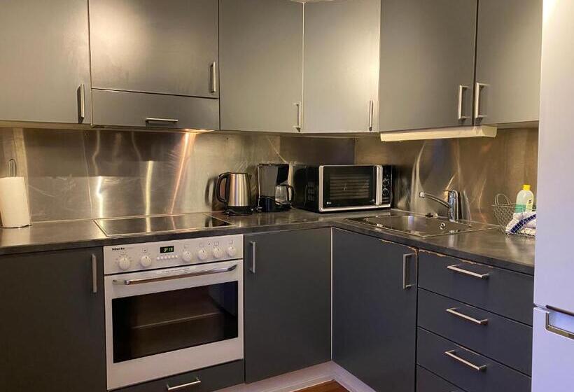 Enter Viking Apartment