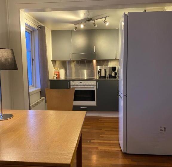 Enter Viking Apartment