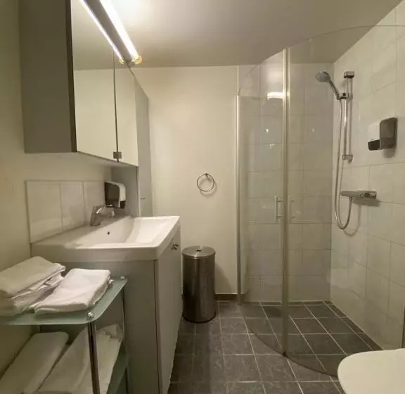 Enter Viking Apartment