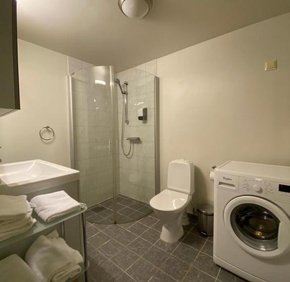 Enter Viking Apartment