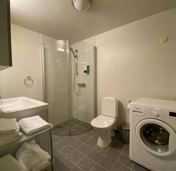 Enter Viking Apartment