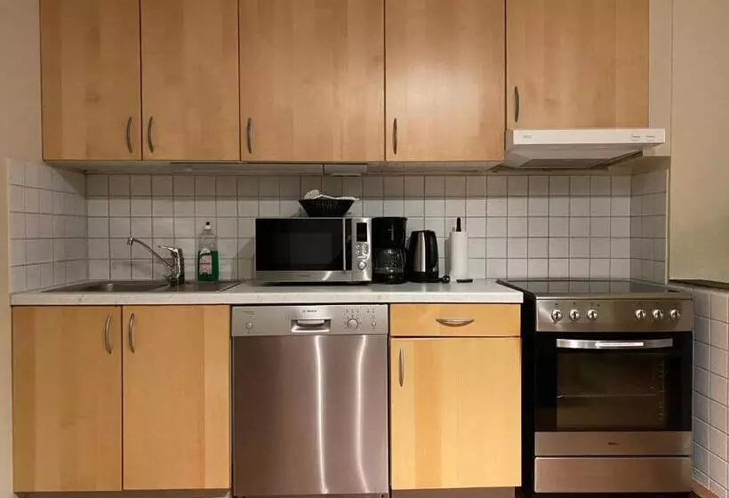 Enter Viking Apartment