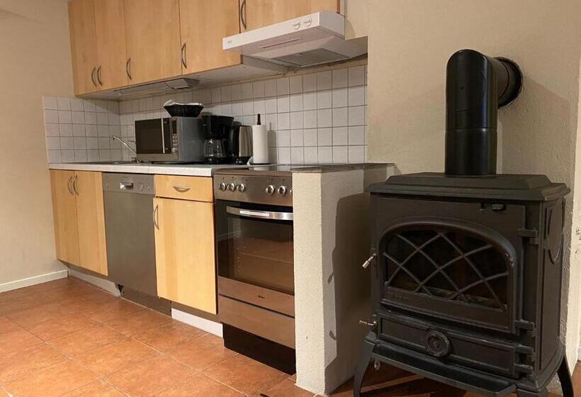 Enter Viking Apartment