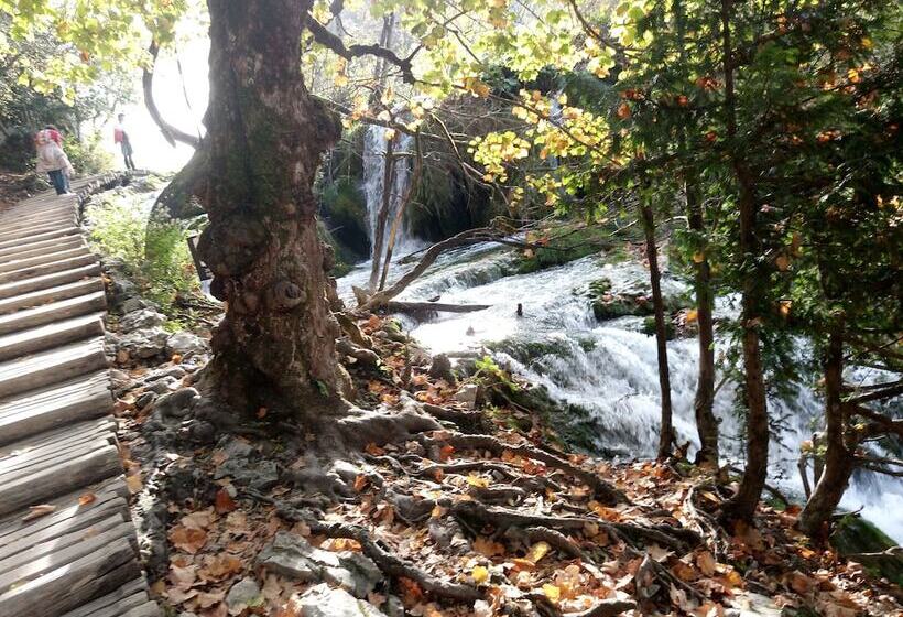 Отель House Jelena