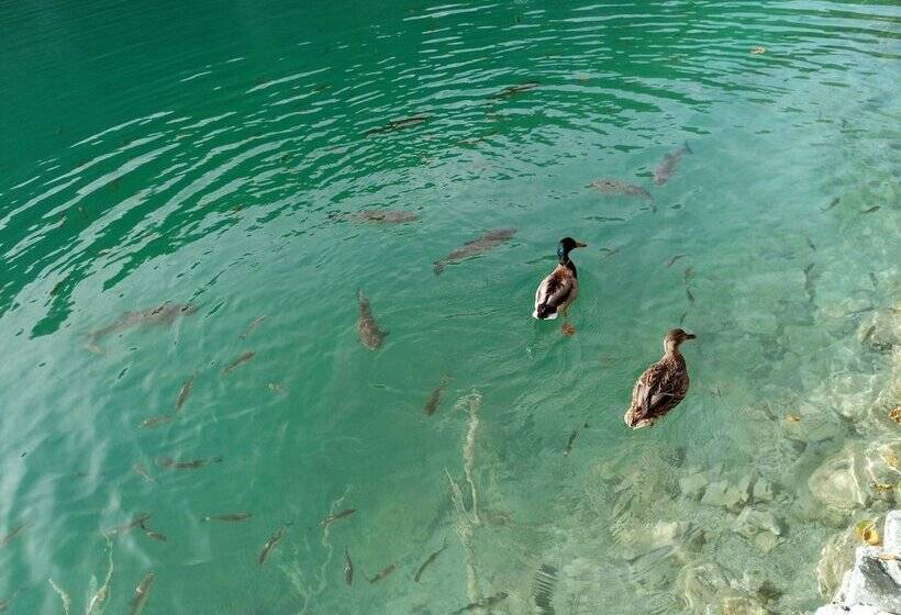 Отель House Jelena