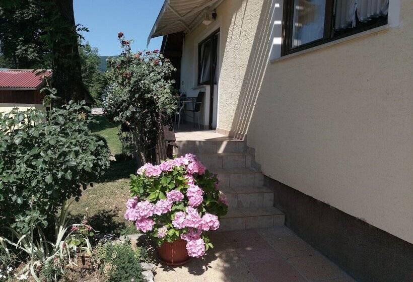 Отель House Jelena