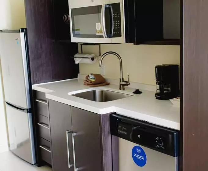 Hotelli Home2 Suites By Hilton Mcallen