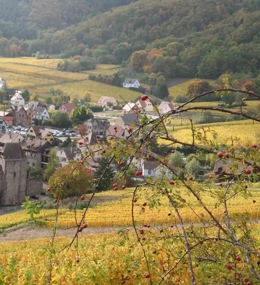 هتل Le Bastion De Riquewihr