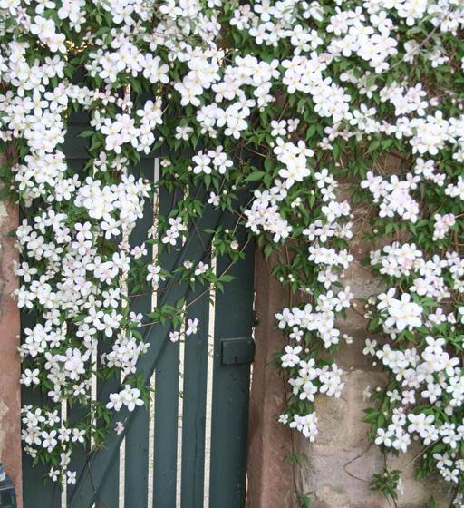 ホテル Le Bastion De Riquewihr