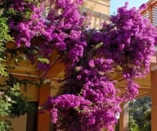 Hotelli Villarancia