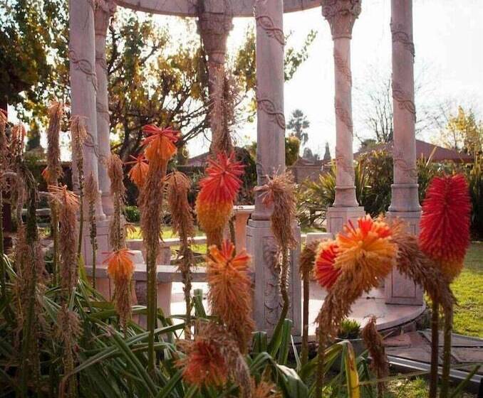 פנסיון Acre Of Africa Guest Venue