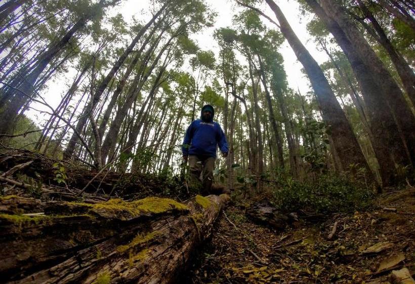 Solar De Las Araucarias