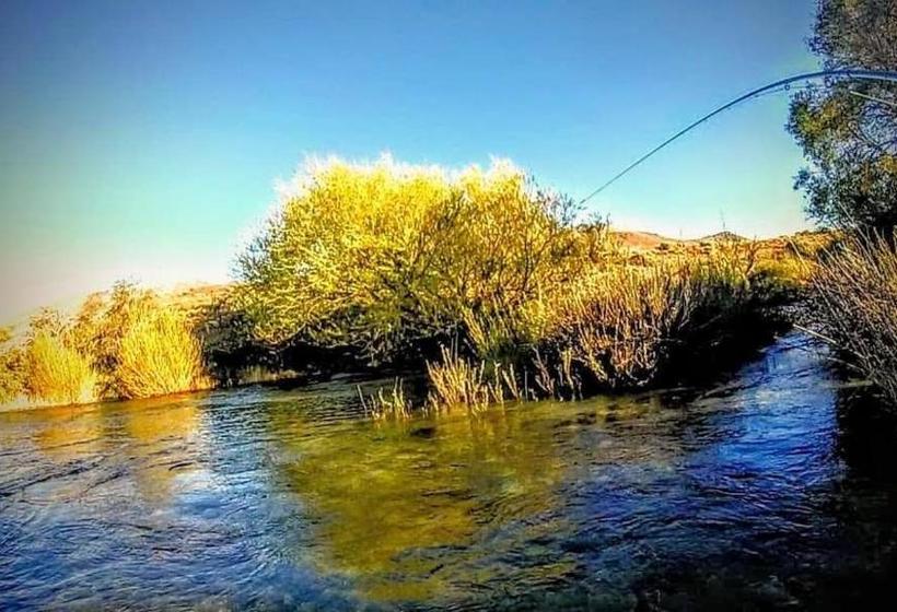 Solar De Las Araucarias