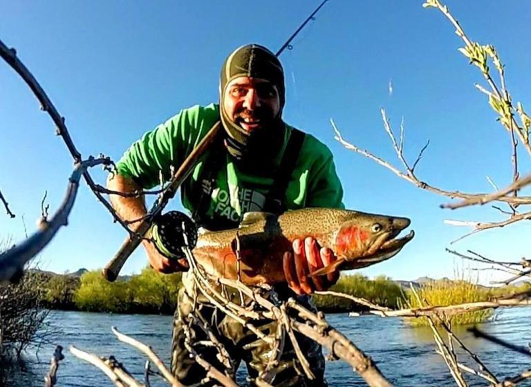 Solar De Las Araucarias