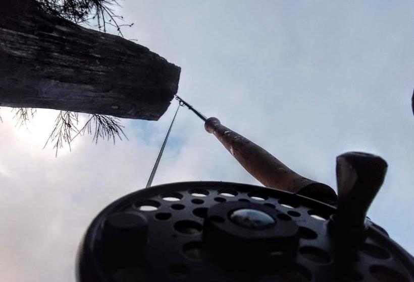 Solar De Las Araucarias