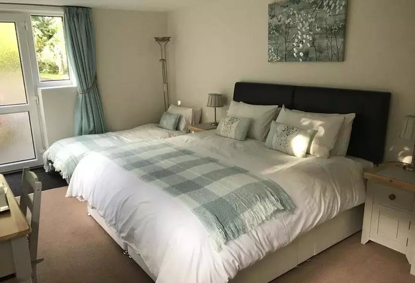 The Warren B&b