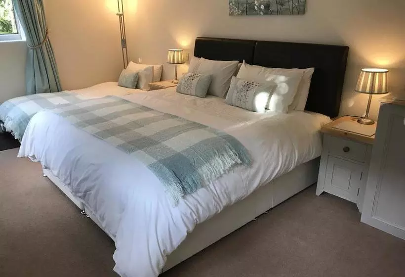The Warren B&b