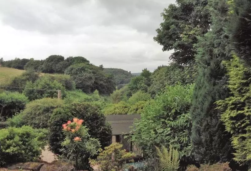The Warren B&b