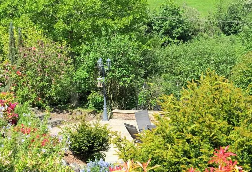 The Warren B&b