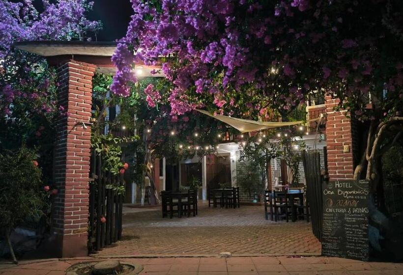 ユースホステル Casa Bugambilias