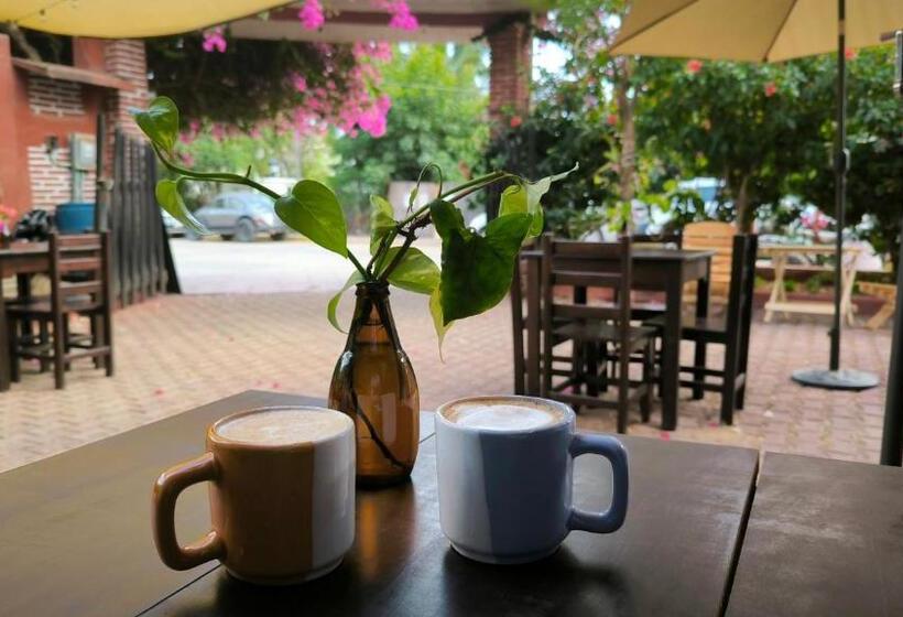 ユースホステル Casa Bugambilias