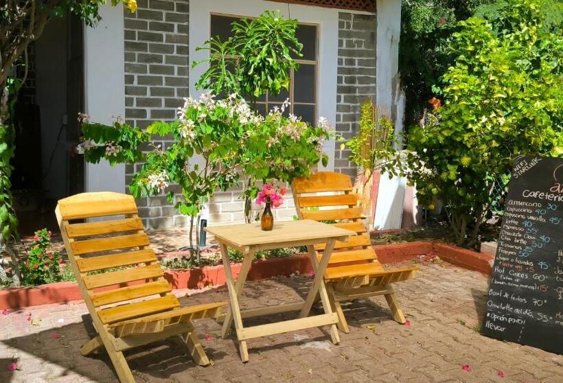 ユースホステル Casa Bugambilias