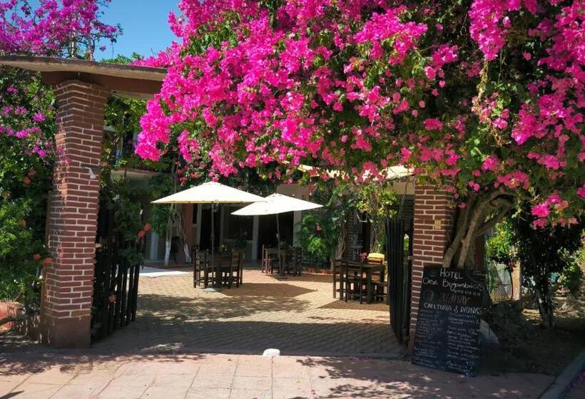 ユースホステル Casa Bugambilias